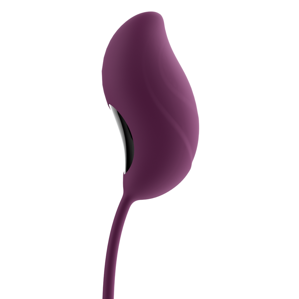 PLAY:CURVE | The Love Egg-Vibrador de control remoto